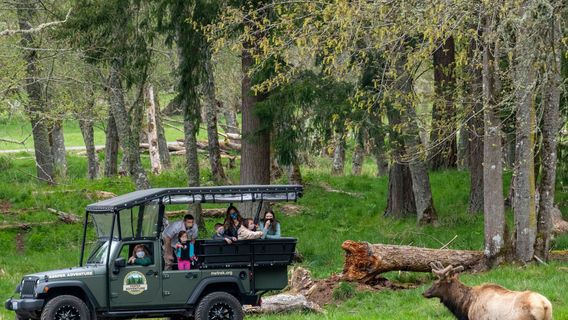 Northwest Trek Wildlife Park