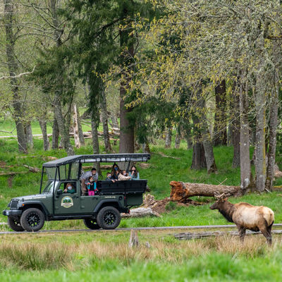 Northwest Trek Wildlife Park