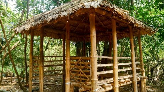 Mangalavanam Bird Sanctuary