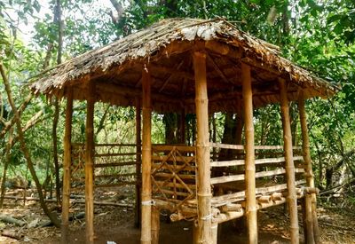 Mangalavanam Bird Sanctuary