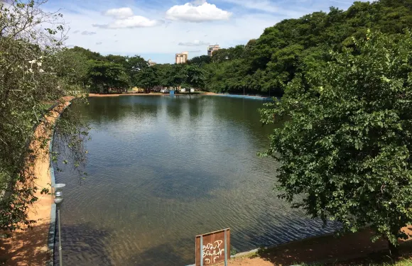 帕圖斯－迪米納斯