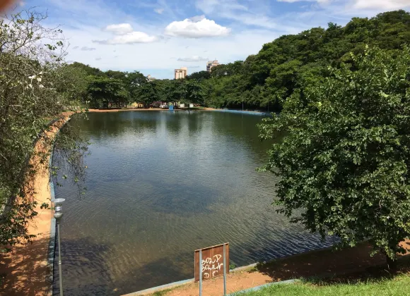 帕圖斯－迪米納斯