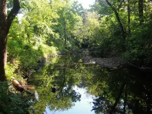 National Audubon Society