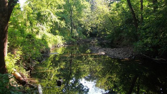 Shoal Creek