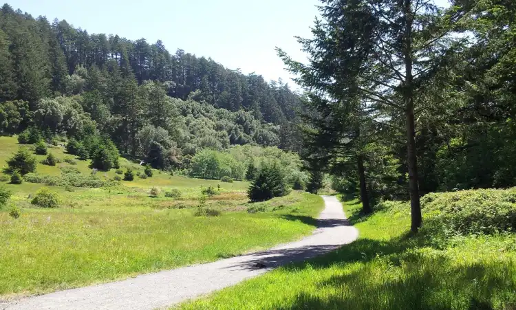 Hotels near Mount Wittenberg Trail