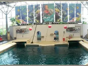 Dolphinarium Varna