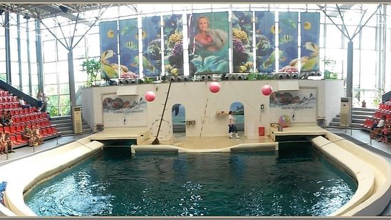 Dolphinarium Varna