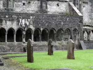 Sligo Abbey