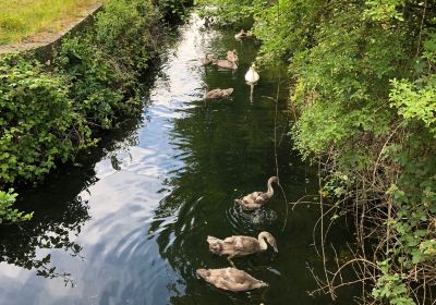 Waltham Abbey