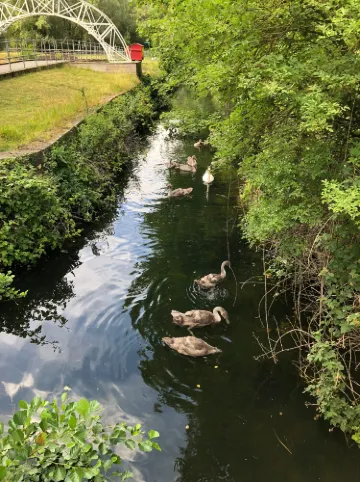 Waltham Abbey
