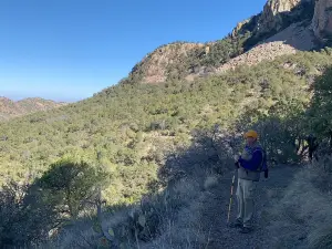 Emory Peak