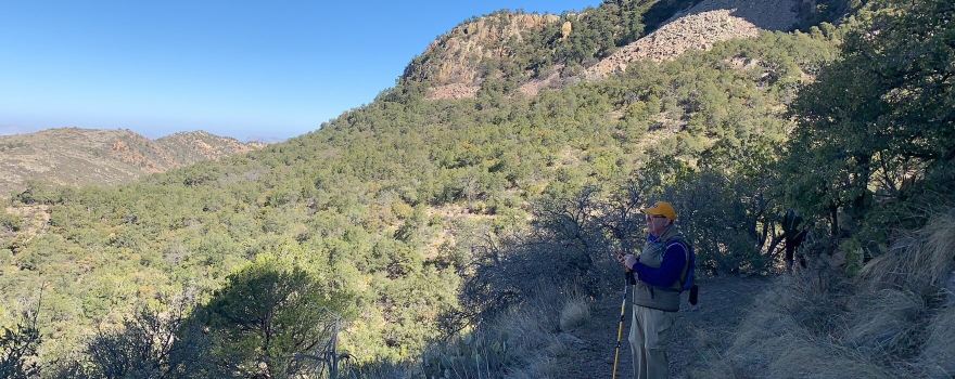 Emory Peak