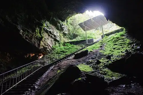 Hotels near Dunmore Cave