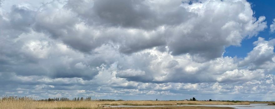 RSPB Frampton Marsh