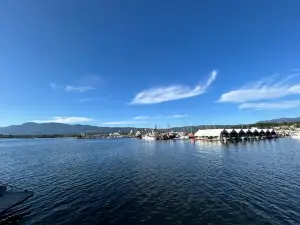 Alberni Harbour Quay
