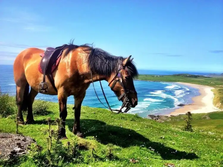 Hotels near Islay Studios