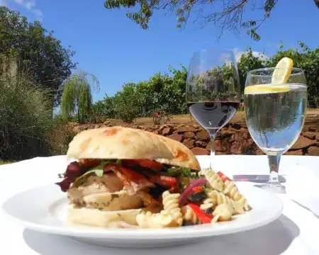 阿馬多爾縣酒店