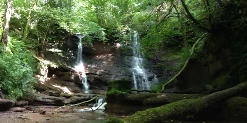 Pwll-y-wrach Nature Reserve