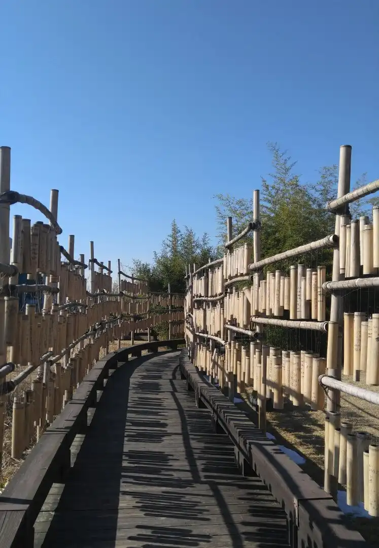 鄰近韓國竹子博物館的酒店