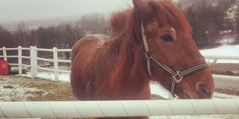 Nordre Lindeberg Farm