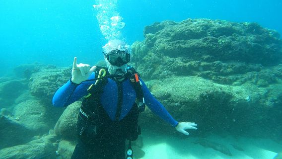 Hawaii Eco Divers