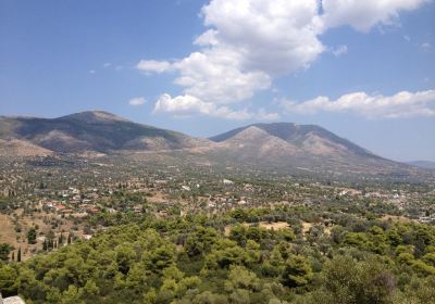 Eubea