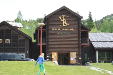 Kviteseid