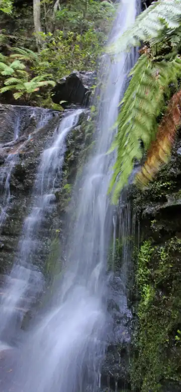 鄰近Spa at Solar Springs Health Retreat的酒店