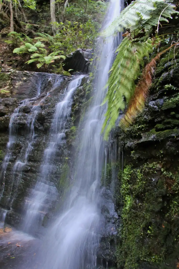 Hotels in Bundanoon