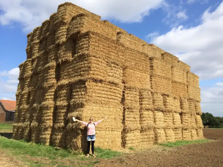 特利姆雷聖瑪麗住宿飯店
