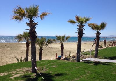 Pyla