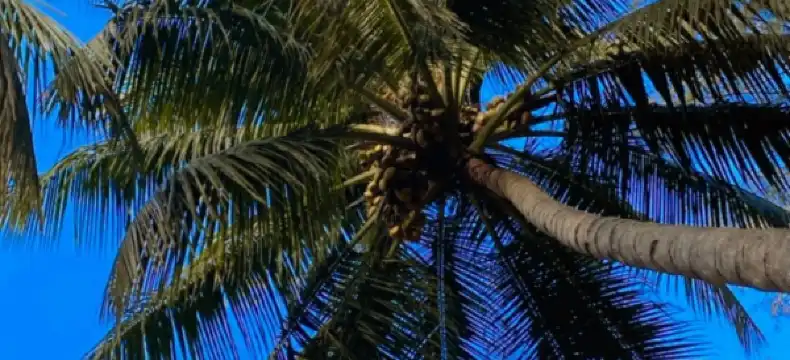 Hotels in Karwar