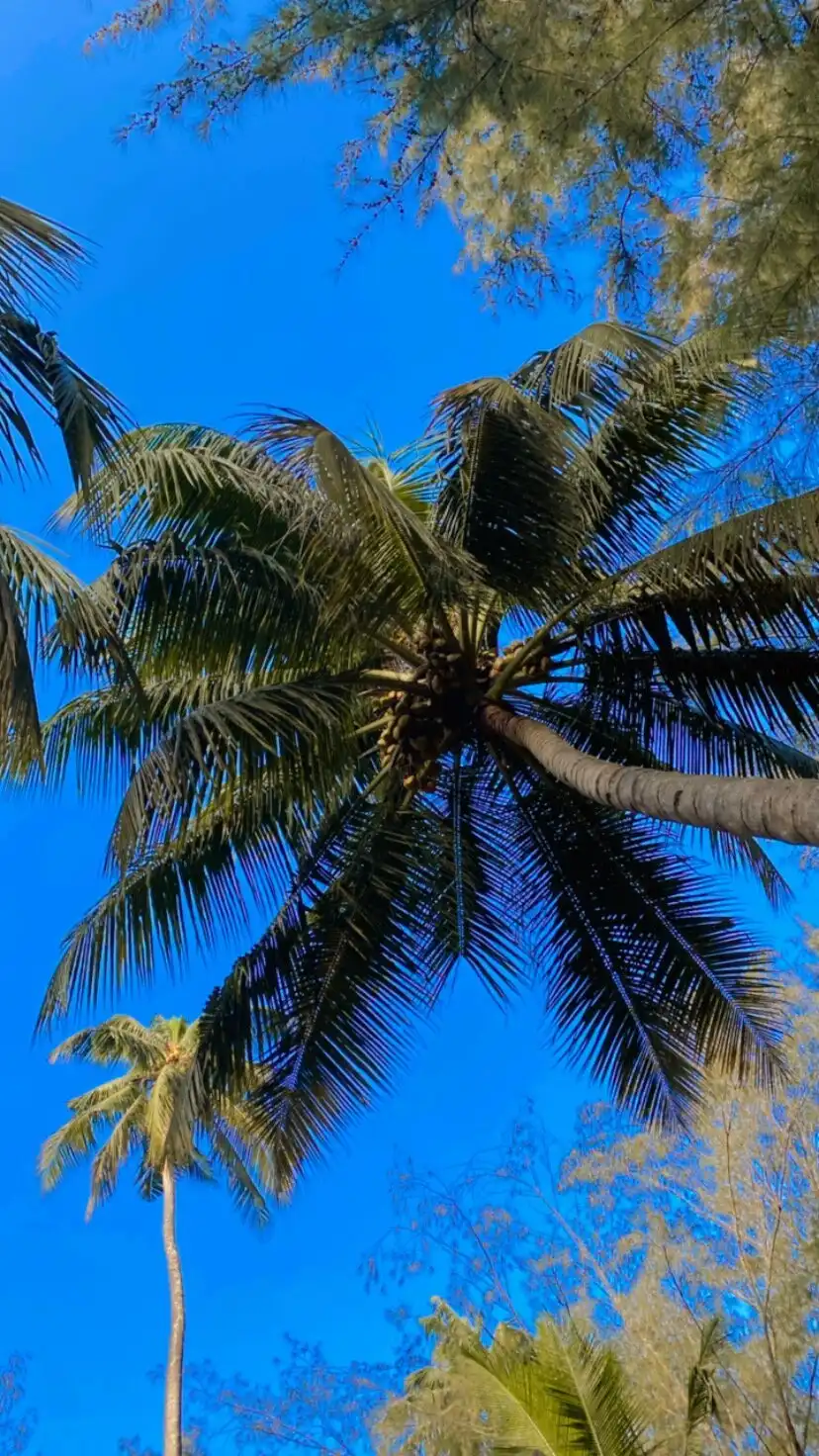 Hotels near Majali Beach Village