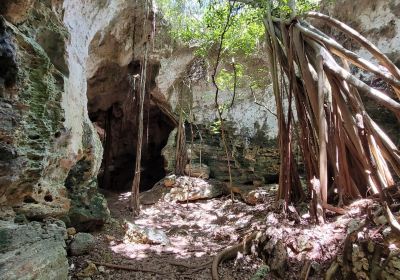 Cathedral Cave (Spider Cave)