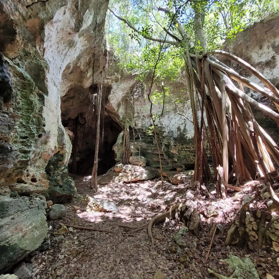Hotels near Cathedral Cave (Spider Cave)