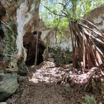 Cathedral Cave (Spider Cave)