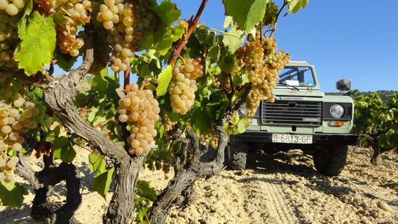 Avinyonet del Penedes
