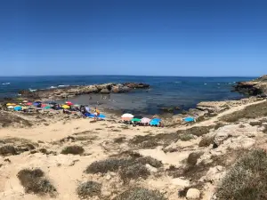 Porto Palmas