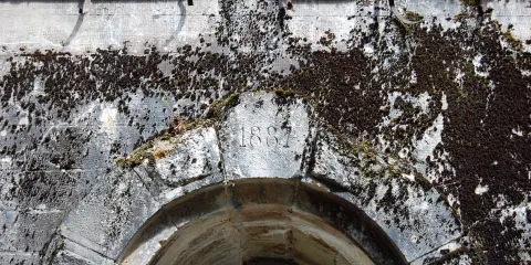 Fort du Vieux Canton