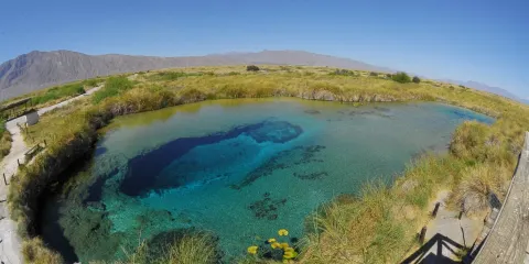 夸特羅謝內加斯