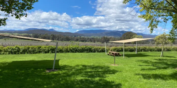 Gracebrook Vineyards