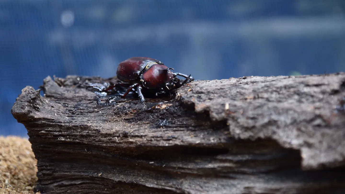 3_荒川自然公園