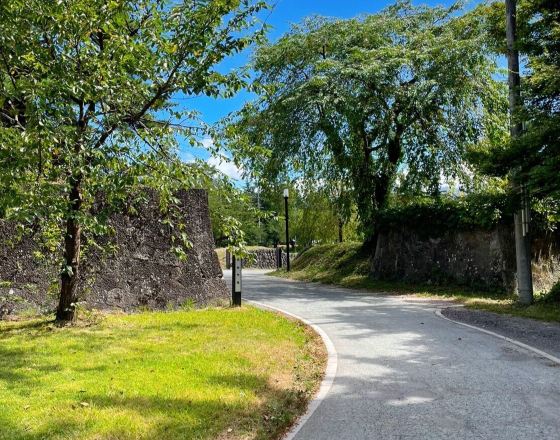 新莊市 自由行套票