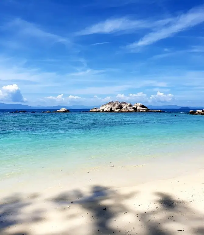 Besut