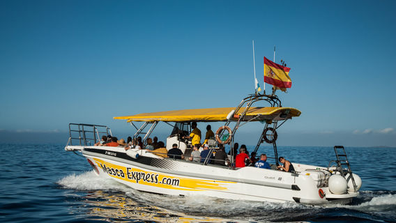 Masca Express