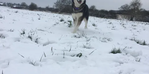 Southwick Country Park