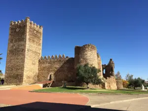 Castillo de Laguna de Negrillos