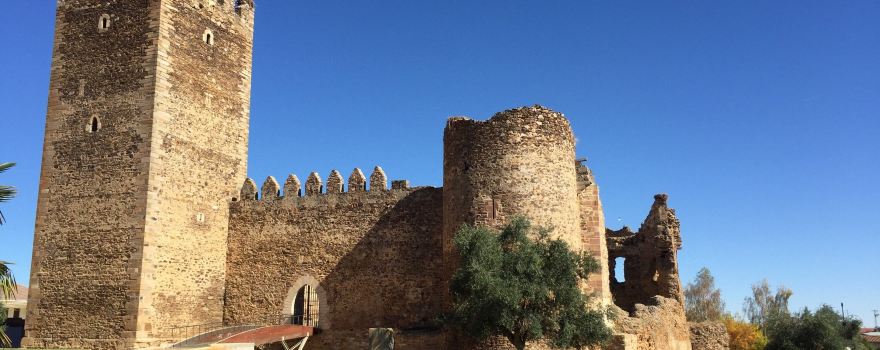 Castillo de Laguna de Negrillos