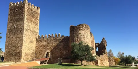 Castillo de Laguna de Negrillos