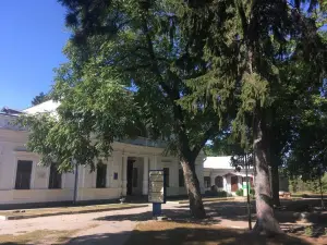 Golitsyn's Palace